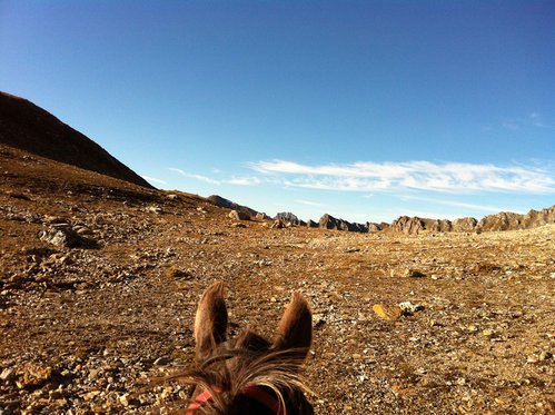 Übernachtung in der Jurte - mit Pferdeausritt und Verpflegung 5 [article_picture_small]