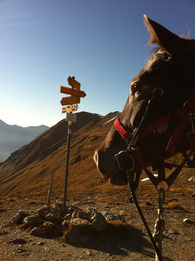 Übernachtung in der Jurte - mit Pferdeausritt und Verpflegung 6 [article_picture_small]