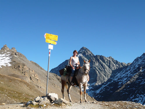 Übernachtung in der Jurte - mit Pferdeausritt und Verpflegung 7 [article_picture_small]