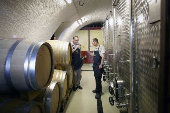Besuch im Weingut  - mit Wein Degustation 2 [article_picture_small]