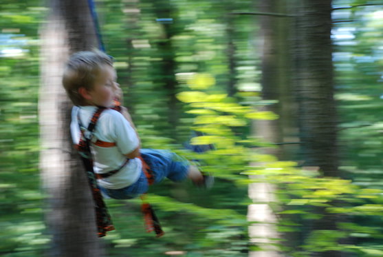 Seilpark Abenteuer Zürich - für die ganze Familie 13 [article_picture_small]