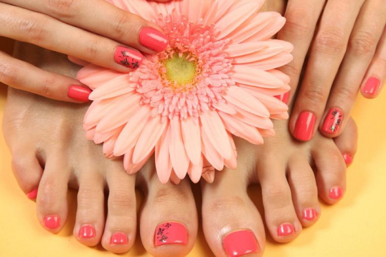 Ladies World - Wishbox - 1 Box - über 25 Erlebnisse 4 [article_picture_small]