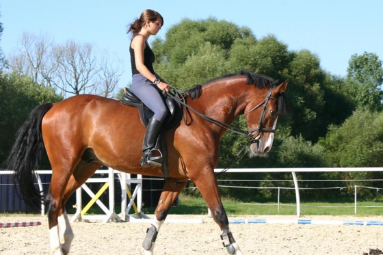 Ladies World - Wishbox - 1 Box - über 25 Erlebnisse 6 [article_picture_small]