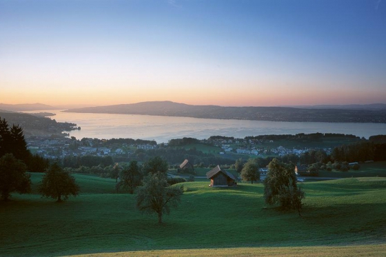 Wellness Übernachtung für 2 - im Panorama Resort & Spa Feusisberg 4 [article_picture_small]