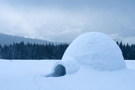 Pernottamento in igloo - ad Adelboden + tour sulla neve  [article_picture_small]