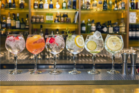 Gin Seminar - Gin mit allen Sinnen erleben in Zürich 1 [article_picture_small]