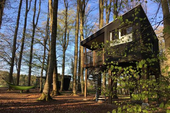 Waldhütten-Übernachtung - inkl. Frühstück für 2 Personen  [article_picture_small]