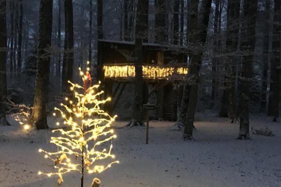 Waldhütten-Übernachtung - inkl. Frühstück für 2 Personen 4 [article_picture_small]