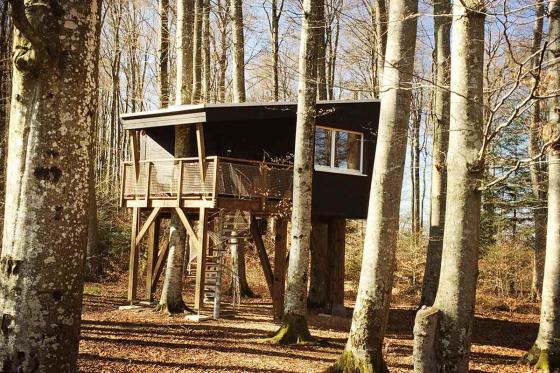 Waldhütten-Übernachtung - inkl. Frühstück für 2 Personen 14 [article_picture_small]