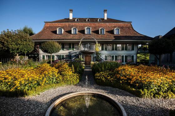 Rosen-Suite Übernachtung - für 2 Personen, So-Do einlösbar 4 [article_picture_small]