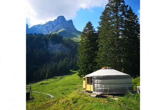 Jurten Übernachtung - 1 Nacht in der 5 Billionen Sterne Panorama Jurte | 2 Personen 1 [article_picture_small]