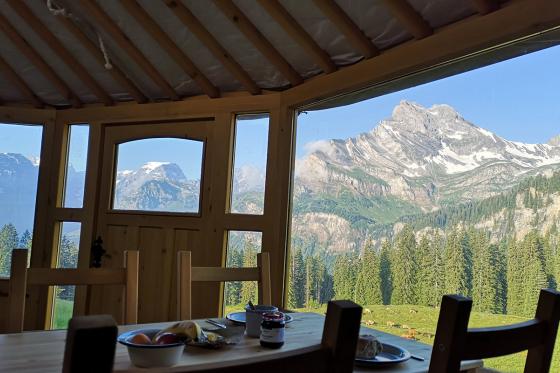 Jurten Übernachtung - 1 Nacht in der 5 Billionen Sterne Panorama Jurte | 2 Personen 4 [article_picture_small]