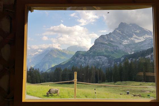 Jurten Übernachtung - 1 Nacht in der 5 Billionen Sterne Panorama Jurte | 2 Personen 5 [article_picture_small]