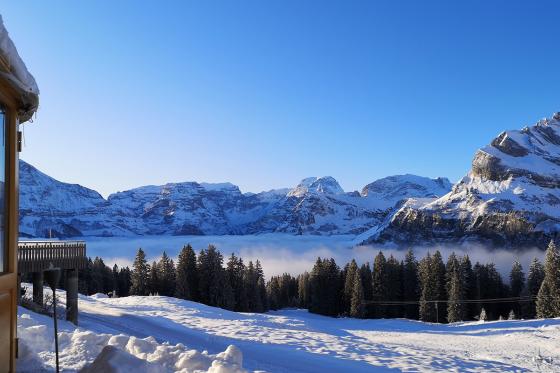 Jurten Übernachtung - 1 Nacht in der 5 Billionen Sterne Panorama Jurte | 2 Personen 17 [article_picture_small]