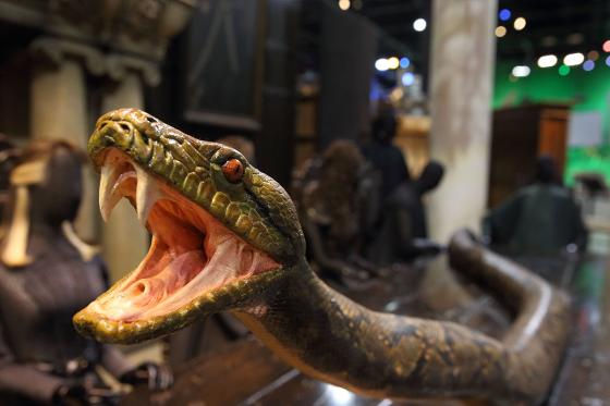 London entdecken - inkl. Warner Bros. Studio Tour 