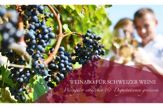 Weinabo Geschenk - 3 Lieferungen exzellenten Wein geniessen 6 [article_picture_small]