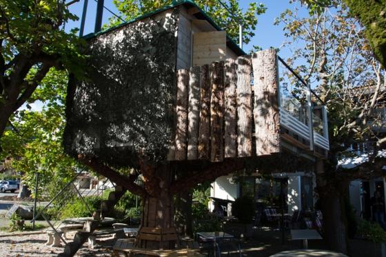 Nuitée en cabane dans un arbre - avec jacuzzi, petit déjeuner et souper 4 plats. 6 [article_picture_small]