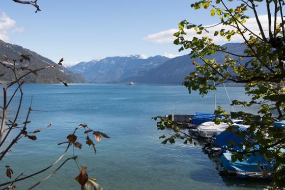 Nuitée en cabane dans un arbre - avec jacuzzi, petit déjeuner et souper 4 plats. 8 [article_picture_small]