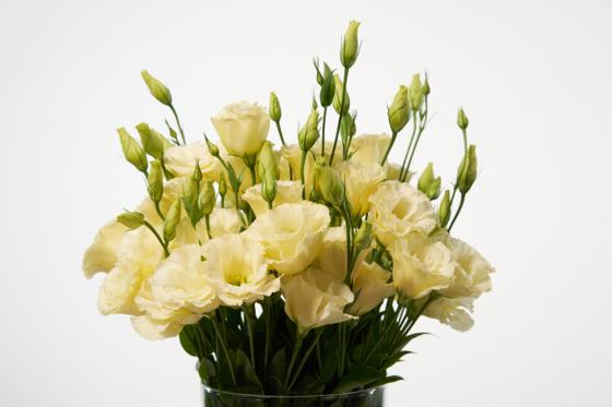 Blumen-Abo Medium - 3 Blumenstrauss Lieferungen  [article_picture_small]