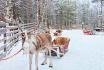 Visite chez le Père Noël - 3 nuits à l'hôtel, visite du village du Père Noël et restaurant de glace 1