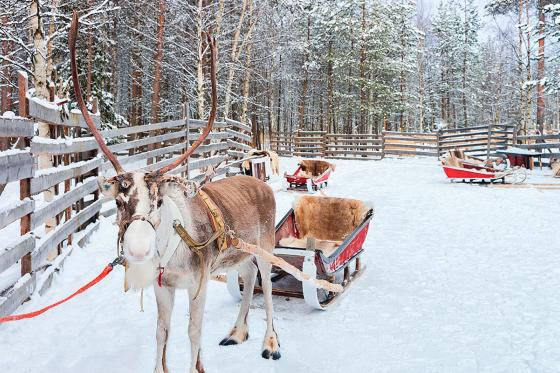 Visita da Babbo Natale - 3 notti in hotel, visita del villaggio di Babbo Natale e del ristorante di ghiaccio 1 [article_picture_small]