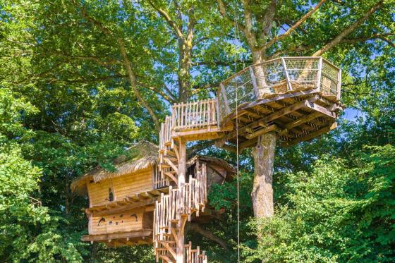 Baumhaus-Übernachtung - 2 Nächte für bis zu 7 Personen inkl. Frühstück 2 [article_picture_small]