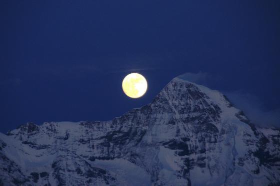 Privat-Wellness in eigener Suite - inkl. Übernachtung in der Château d'amour Suite & 3-Gang Menü 8 [article_picture_small]