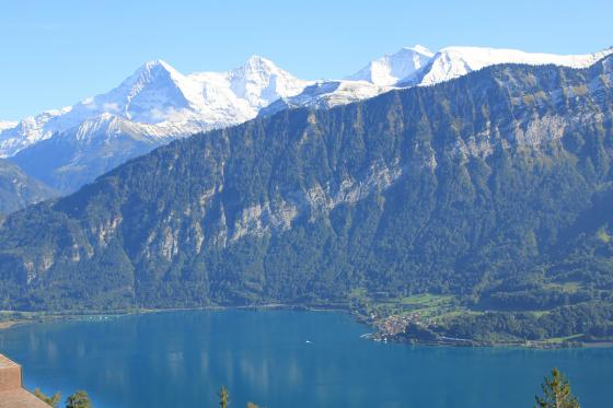 Privat-Wellness in eigener Suite - inkl. Übernachtung in der Château d'amour Suite & 3-Gang Menü 9 [article_picture_small]