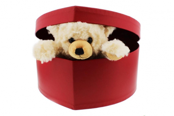 Steiff Teddy - in Herzbox - personalisierbar 1 [article_picture_small]