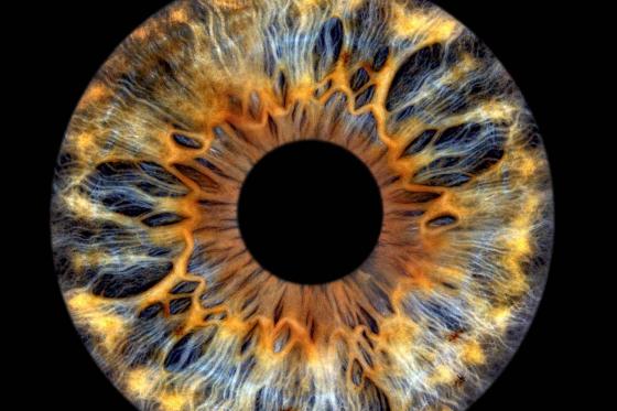 Iris Fotografie - 30x30cm auf Echt-Glas, für eine Person  [article_picture_small]