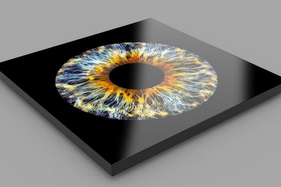 Iris Fotografie - 30x30cm auf Echt-Glas, für eine Person 2 [article_picture_small]