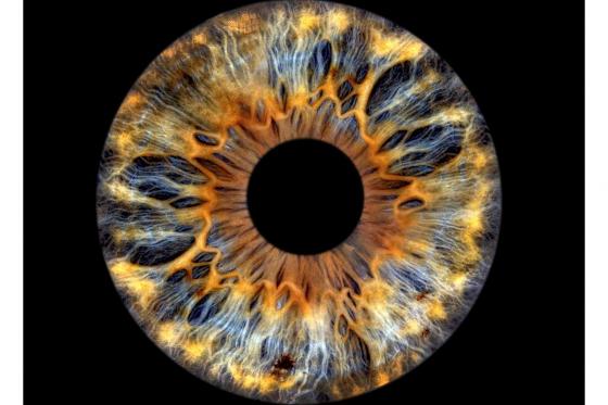 Iris Fotografie - 30x30cm auf Echt-Glas, für eine Person 5 [article_picture_small]