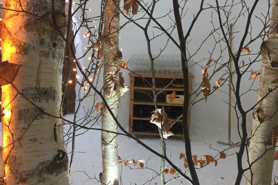 Menu fondue dans un igloo - Pour 2 personnes, à Leysin (VD) 17 [article_picture_small]