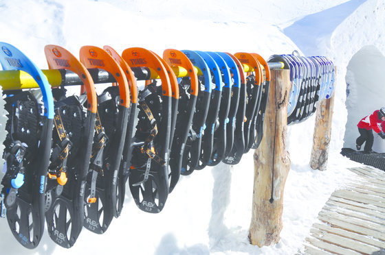 Nuit dans un igloo - avec repas fondue 5 [article_picture_small]