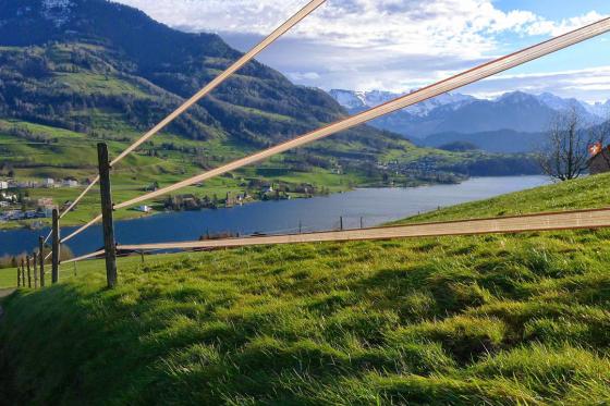 Jaguar Junior Suite - 1 Nacht für 2 Personen 17 [article_picture_small]