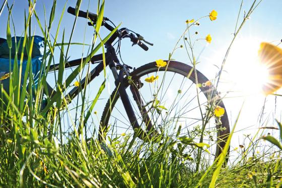 Jaguar Junior Suite - 1 Nacht für 2 Personen 18 [article_picture_small]