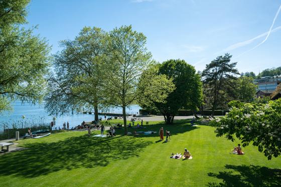 Jaguar Junior Suite - 1 Nacht für 2 Personen 19 [article_picture_small]