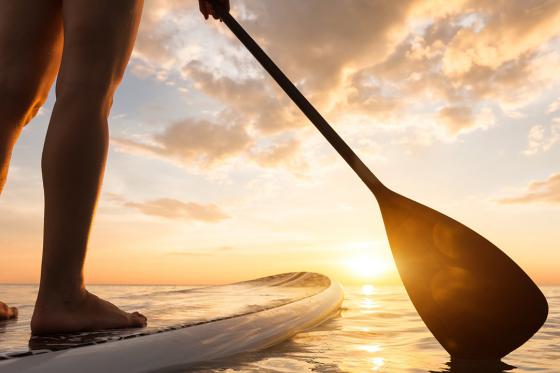 Jaguar Junior Suite - 1 Nacht für 2 Personen 22 [article_picture_small]