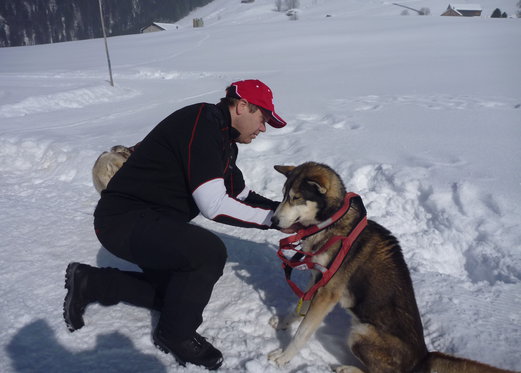 Alla scoperta degli Husky - Corso di una giornata 6 [article_picture_small]