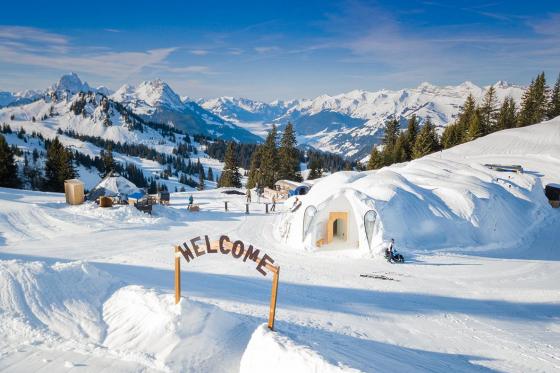 Fondue Deluxe im Iglu für 2 - inkl. Apéro & Besichtigung  [article_picture_small]