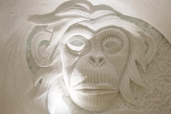 Fondue Deluxe im Iglu für 2 - inkl. Apéro & Besichtigung 8 [article_picture_small]