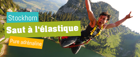 Saut à l'élastique